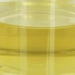 Liquido CAS 19321-40-5 dell'oleato PETO di Pentaerythrityl dello stabilizzatore di modificatore del lubrificante dell'olio